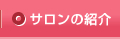 �T�����̏Љ�