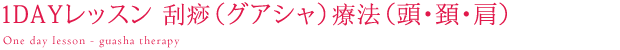 1ＤＡＹレッスン刮痧（グアシャ）療法（頭・頚・肩）