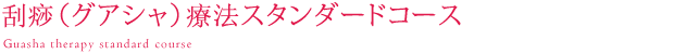 刮痧（グアシャ）療法スタンダードコース、刮痧によるボディケアの手法をしっかりと学びながら、中医学の基礎理論と漢方アロマの精油理論についても学ぶことができるベーシックな講座です。エヌ・アイ・シー