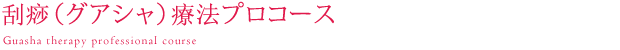 刮痧（グアシャ）療法プロコース、このコースは、ボディケアから中医フェイシャルまでの総合講座で、セラピストの方のスキルアップ、将来、独立開業を目指す方向けの専門コースです。エヌ・アイ・シー